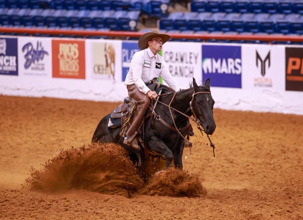 Brendon Clark — Clark Performance Horses reining competition