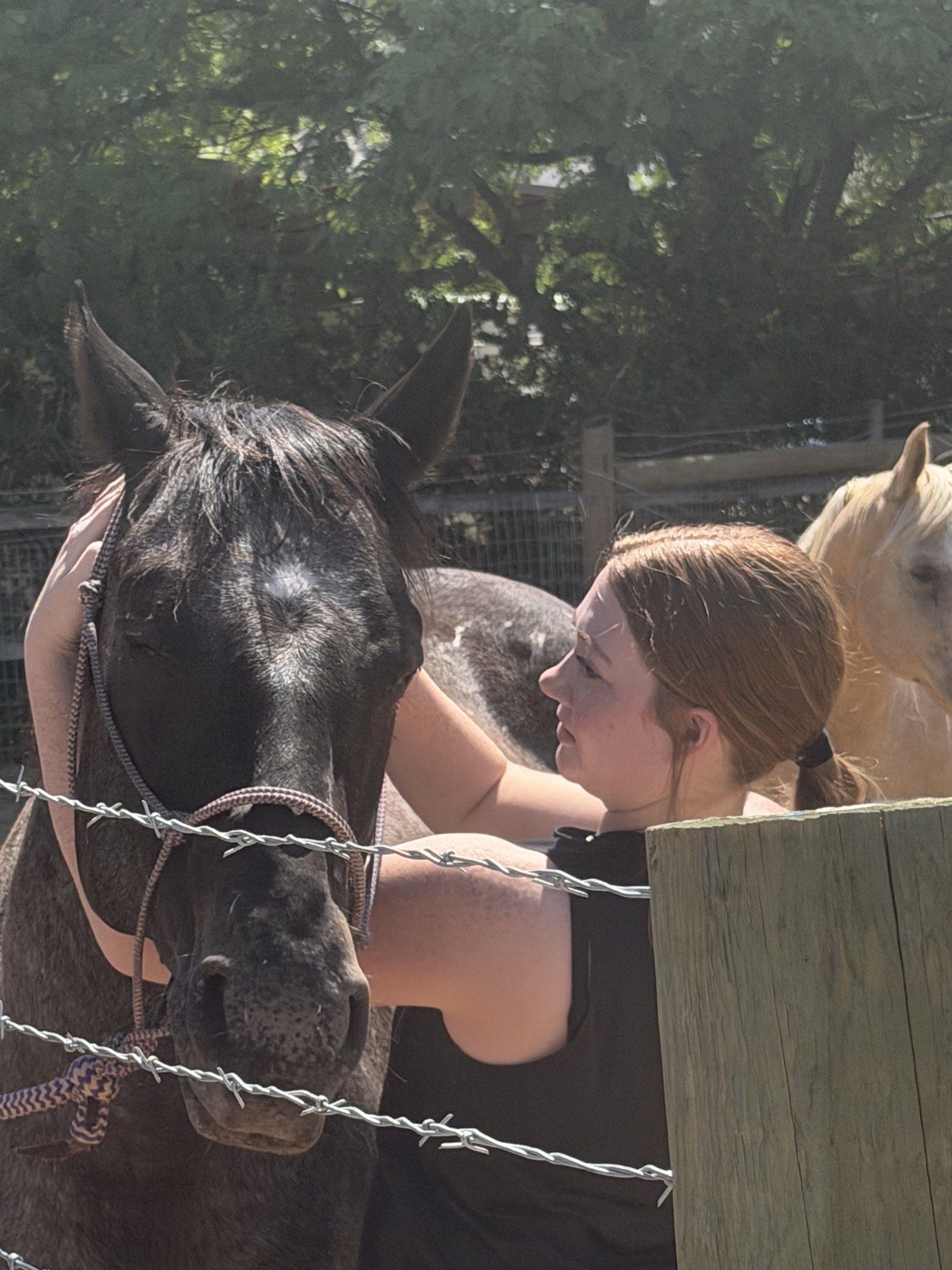 Tabitha working with horse