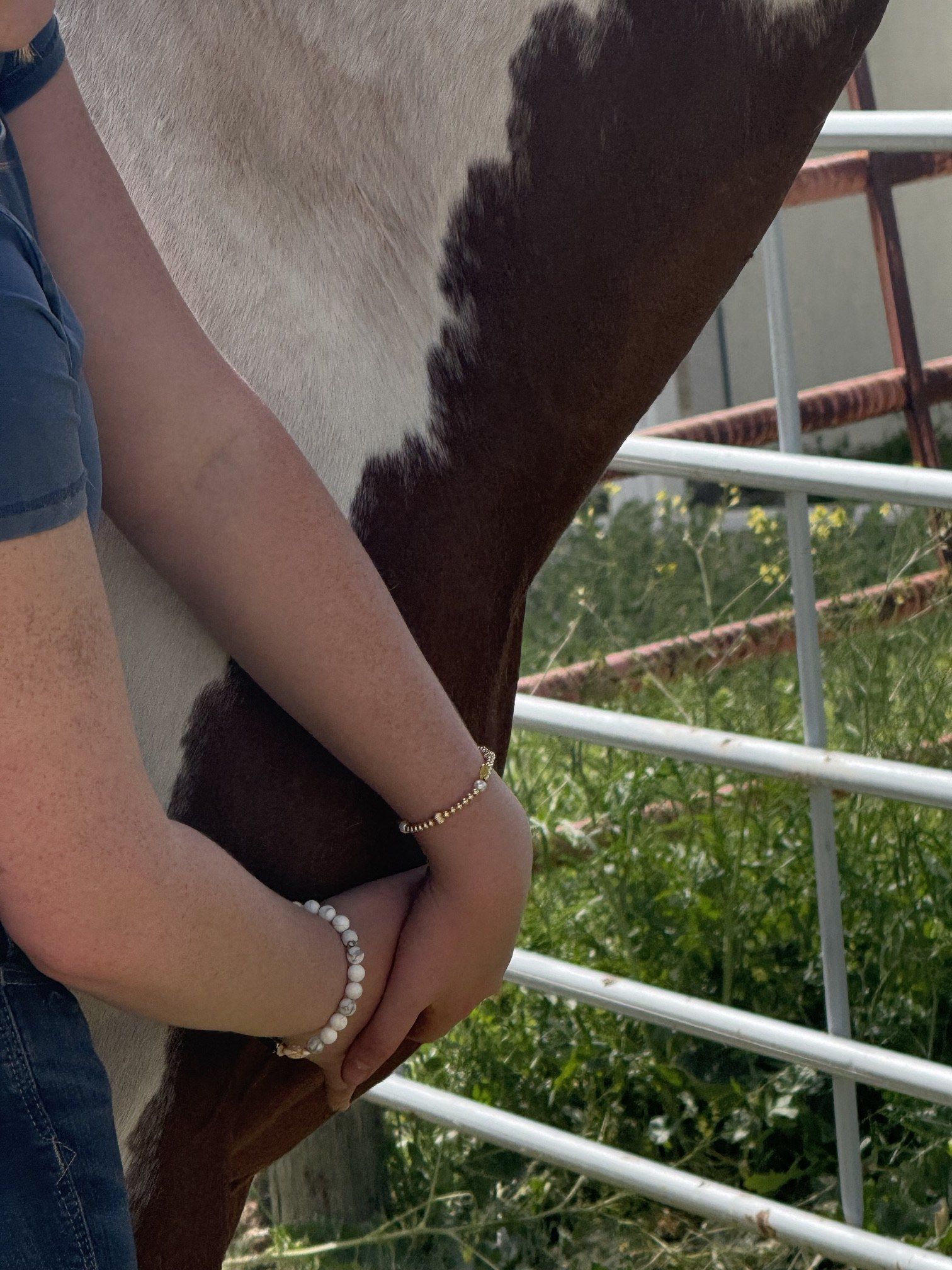 Hands on horse