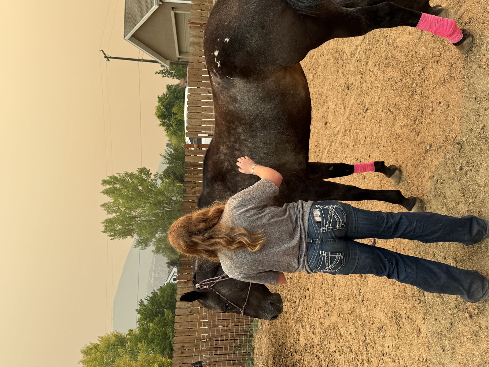 Equine bodywork session
